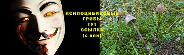 мескалин Артём