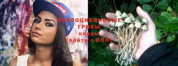 PSILOCYBIN Абдулино