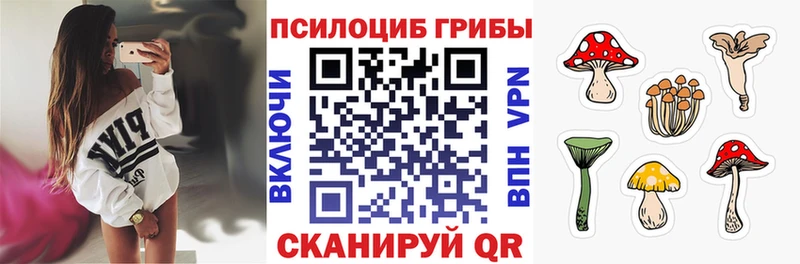 Галлюциногенные грибы Psilocybine cubensis  Весьегонск 